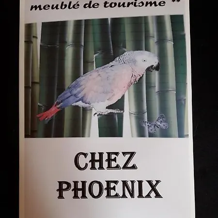 Chezphoenixette