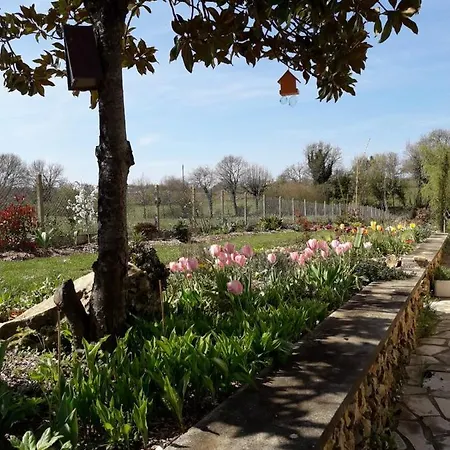 Chezphoenixette Nieuil