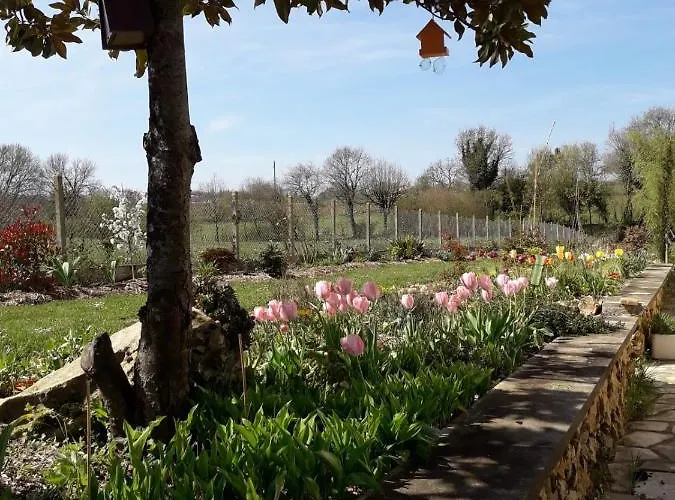 Chezphoenixette Nieuil