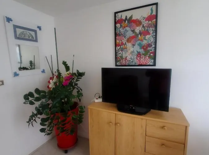 Chezphoenixette Semesterbostad *